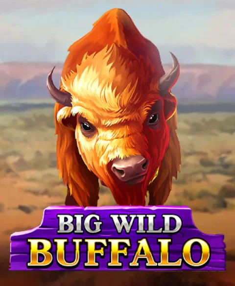 Play Big Wild Buffalo at Chilli Spins Casino